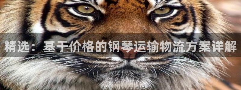 谈球吧体育app下载官网苹果手机