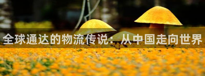 谈球吧官网首页