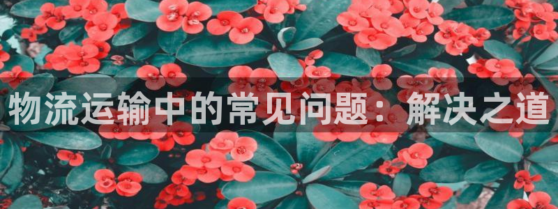 谈球吧网址
