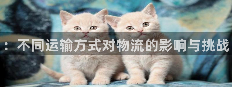 谈球吧体育app官网下载安装