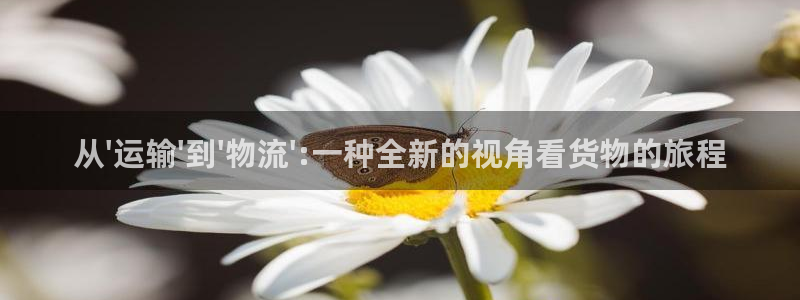 谈球吧APP开元