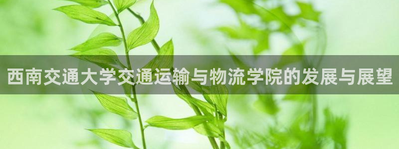 谈球吧官网在线入口免费观看视频网站