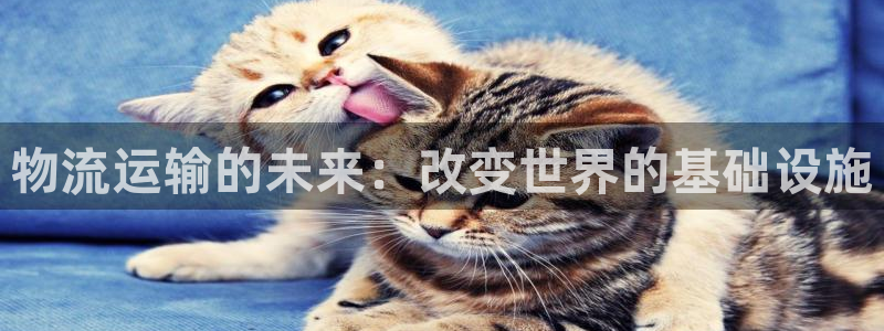 谈球吧电子app